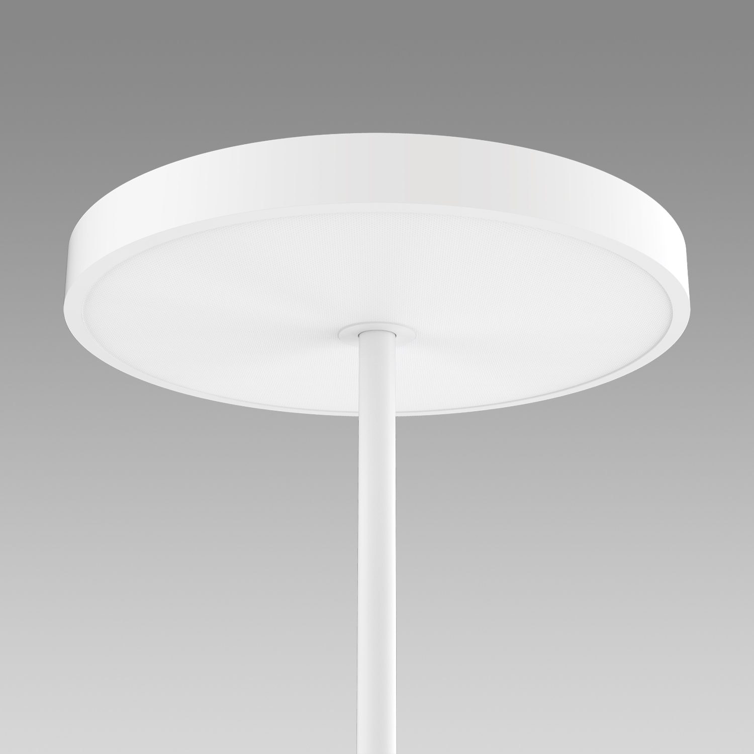 A white Purati pendant light
