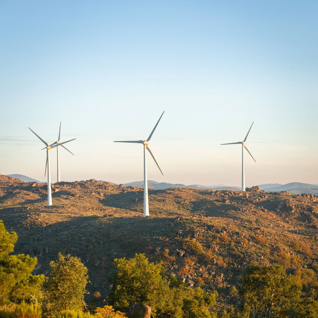 Zendit Renewables Wind Turbines