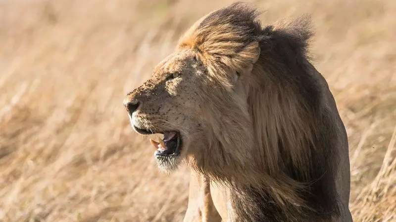 3 Steps to Develop Unwavering GRIT